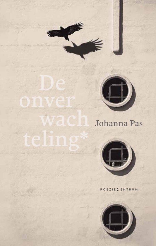 Johanna Pas - De onverwachteling*