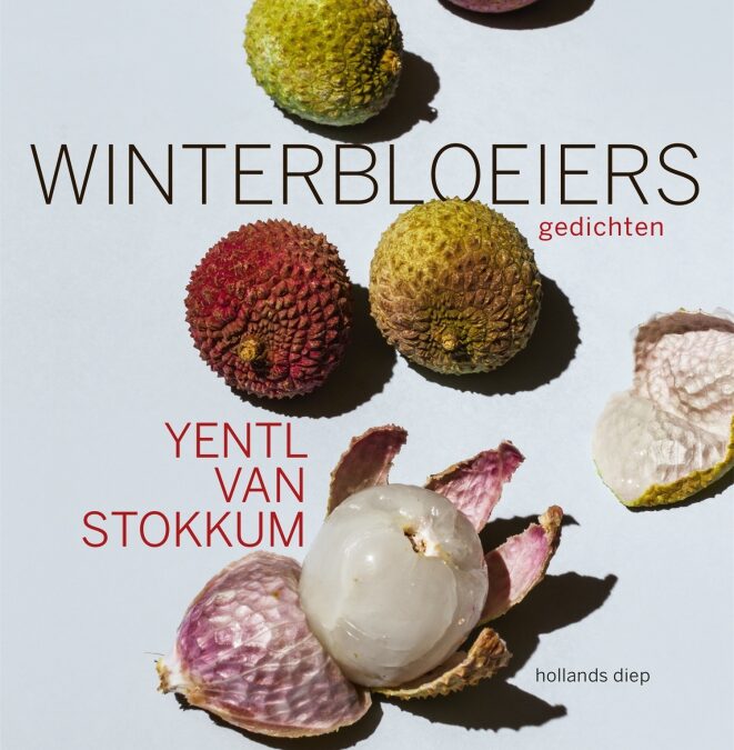 Yentl van Stokkum – Winterbloeiers