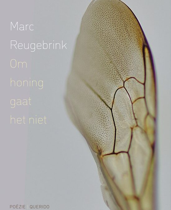 Marc Reugebrink – Om honing gaat het niet