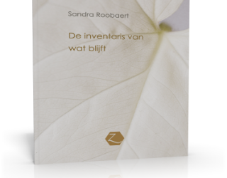 Sandra Roobaert – De inventaris van wat blijft
