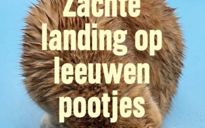 Astrid Lampe – Zachte landing op leeuwenpootjes