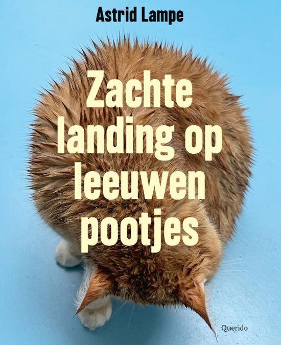 Astrid Lampe – Zachte landing op leeuwenpootjes