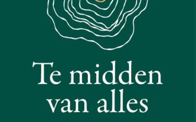 Frans Budé – Te midden van alles