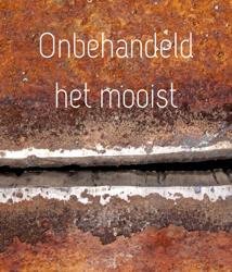 Ludwig Van de Voorde – Onbehandeld het mooist