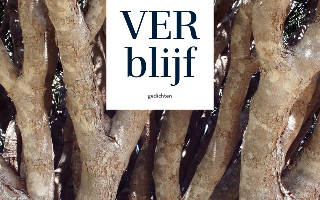 Yasmin Namavar – Verblijf