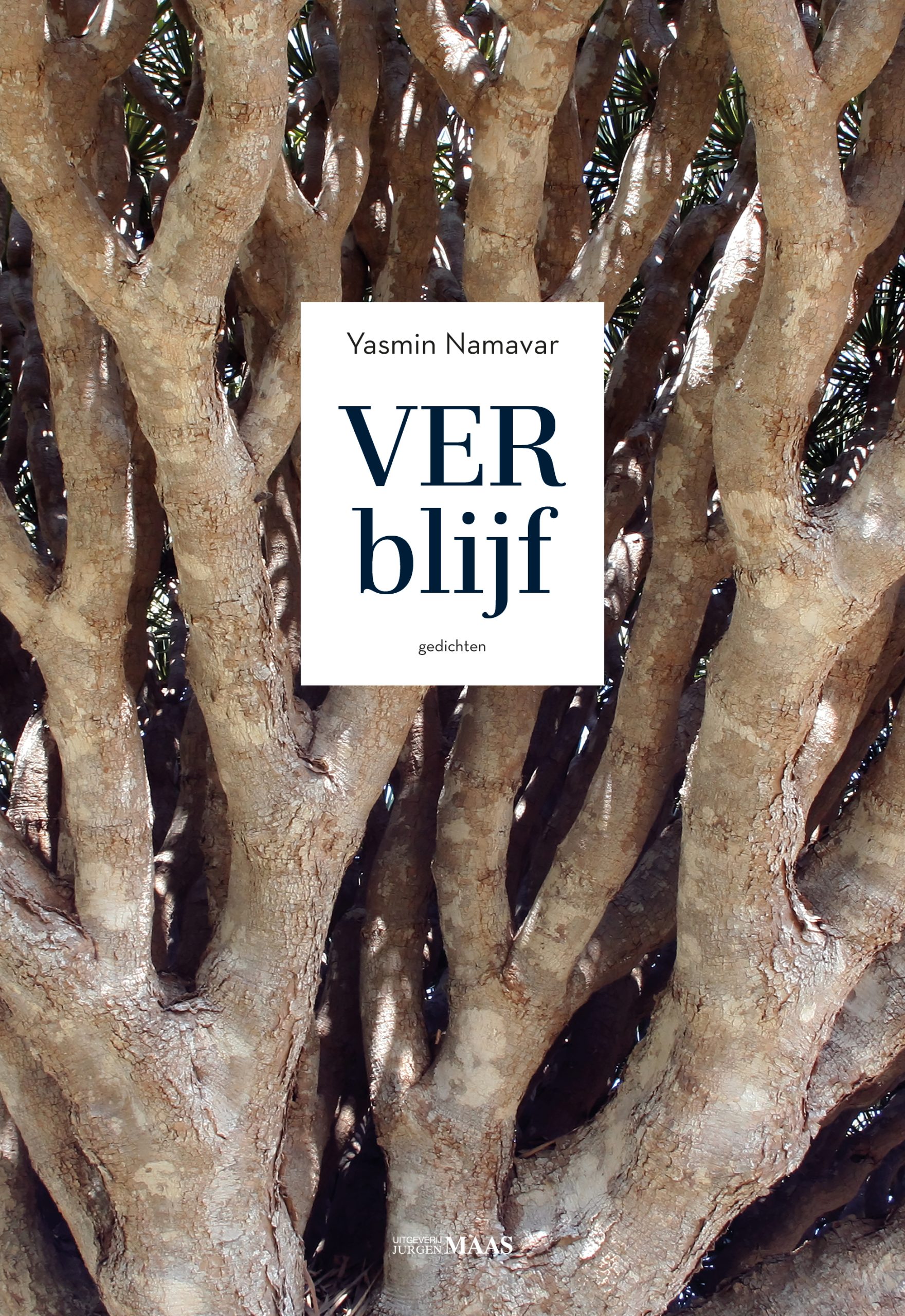 Yasmin Namavar - Verblijf