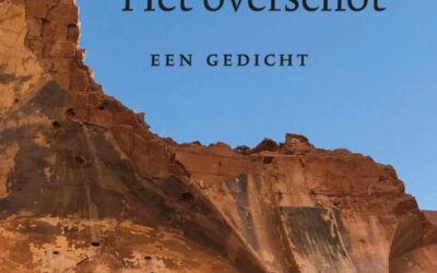 Annemarie Estor – Het overschot
