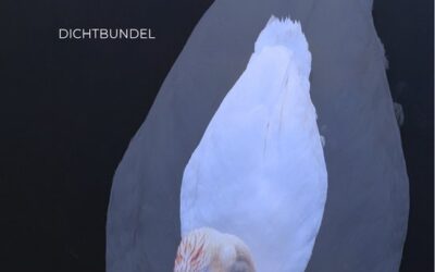 Rodaan Al Galidi – De laatste die ontwaakt