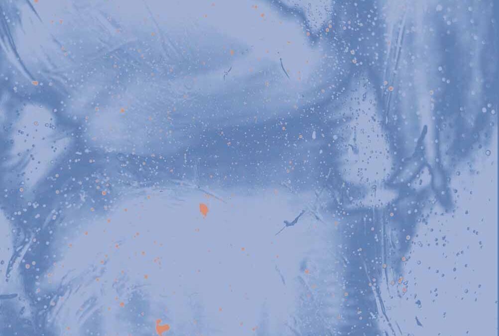 David Huyghe – Olifantenvleugels