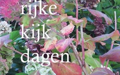 Hans Franse – Luister rijke kijk dagen