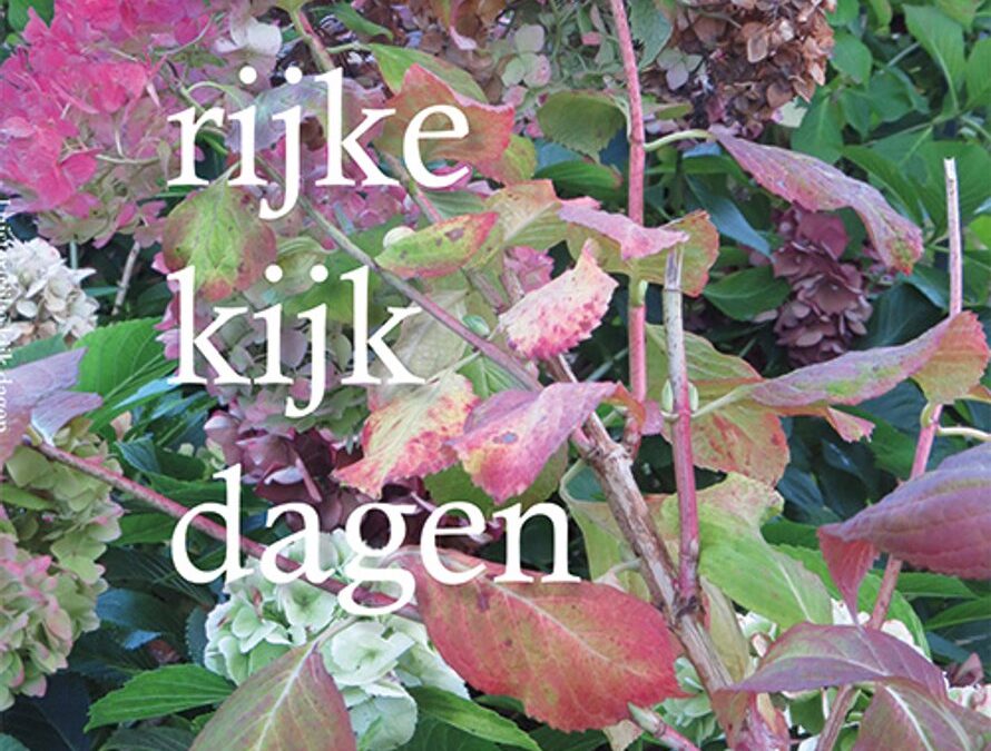 Hans Franse – Luister rijke kijk dagen