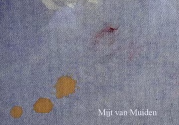 Mijt van Muiden – Opgeruimde beperkingen