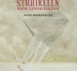 Anne Meerbergen – Struikelen voor gevorderden