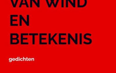 Erick Kila – Het geruis van wind en betekenis