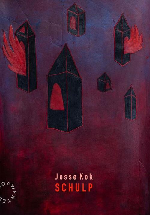 Josse Kok - Schulp