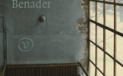 Klaske Havik – Benader