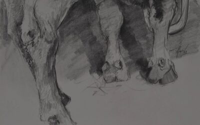 Tijs van Bragt – Anatomie van de grassen