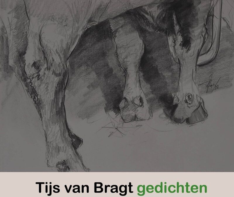 Tijs van Bragt – Anatomie van de grassen