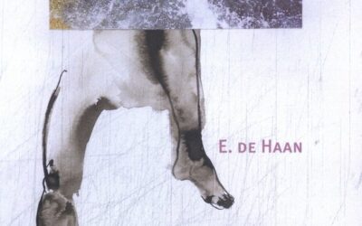E. de Haan – Het valmoment