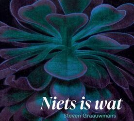 Steven Graauwmans – Niets is wat