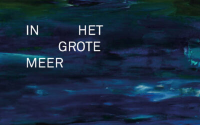 Rob Theys – In het grote meer