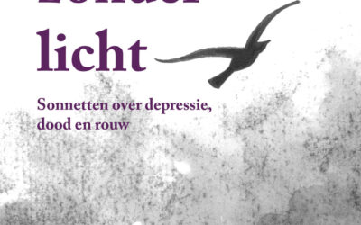 Jeroen de Valk – Dagen zonder licht